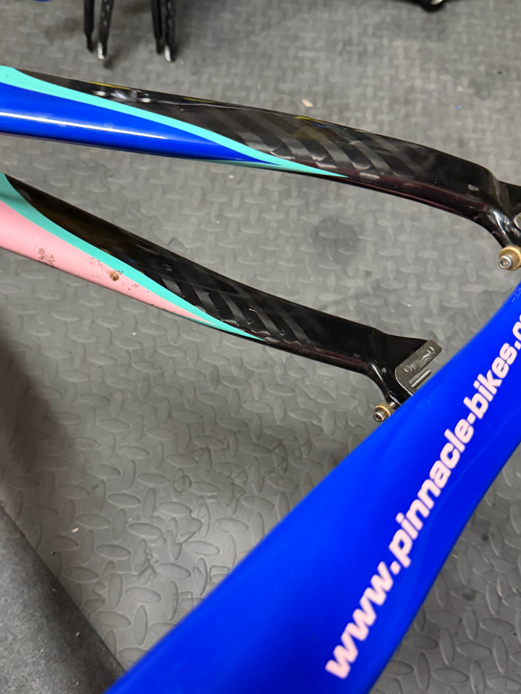Pinnacle Carbon Track Frameset Evans Custom Size 57