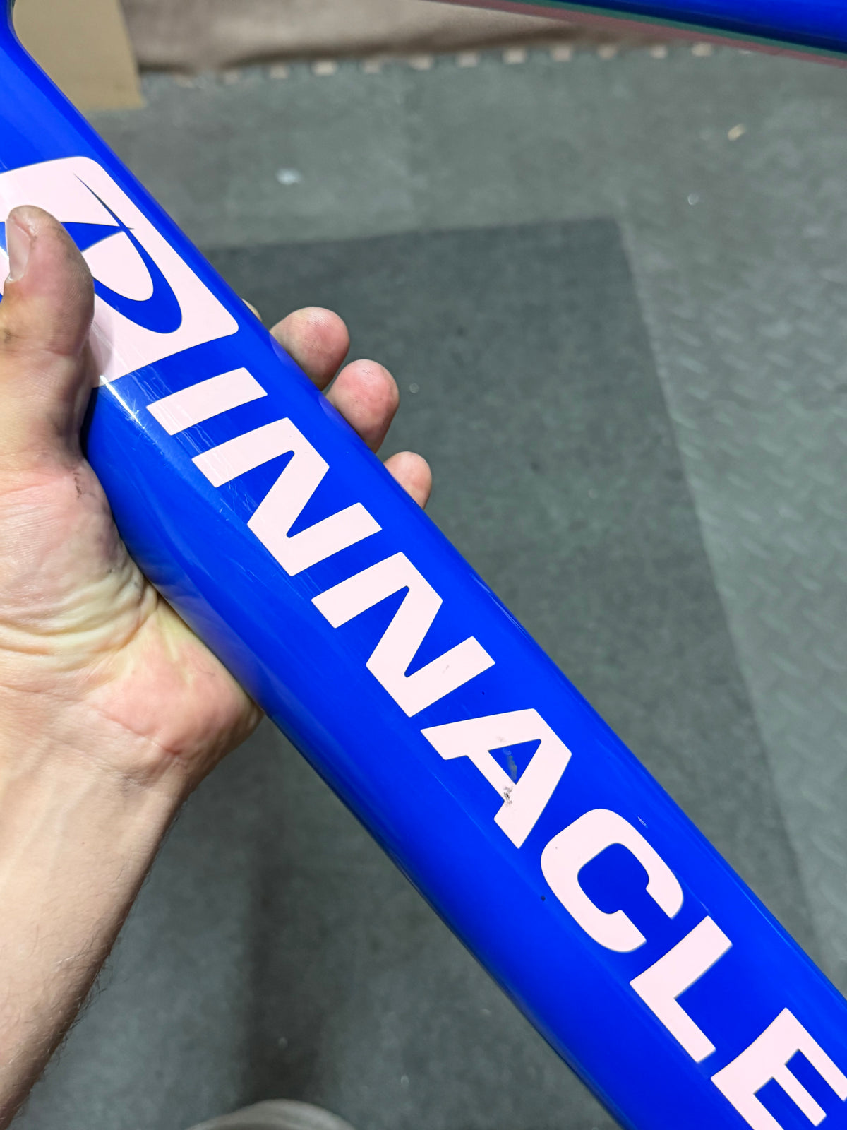 Pinnacle Carbon Track Frameset Evans Custom Size 57