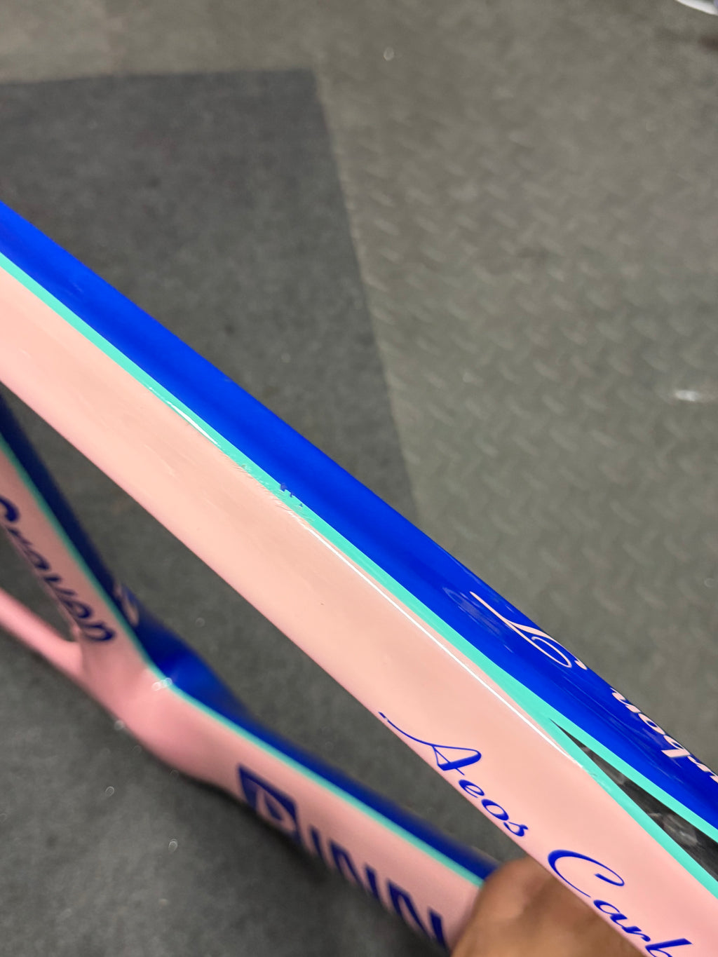 Pinnacle Carbon Track Frameset Evans Custom Size 57