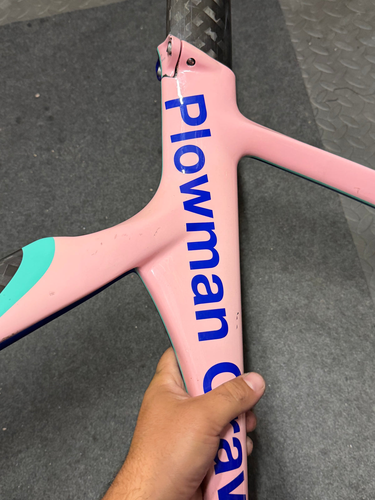 Pinnacle Carbon Track Frameset Evans Custom Size 57