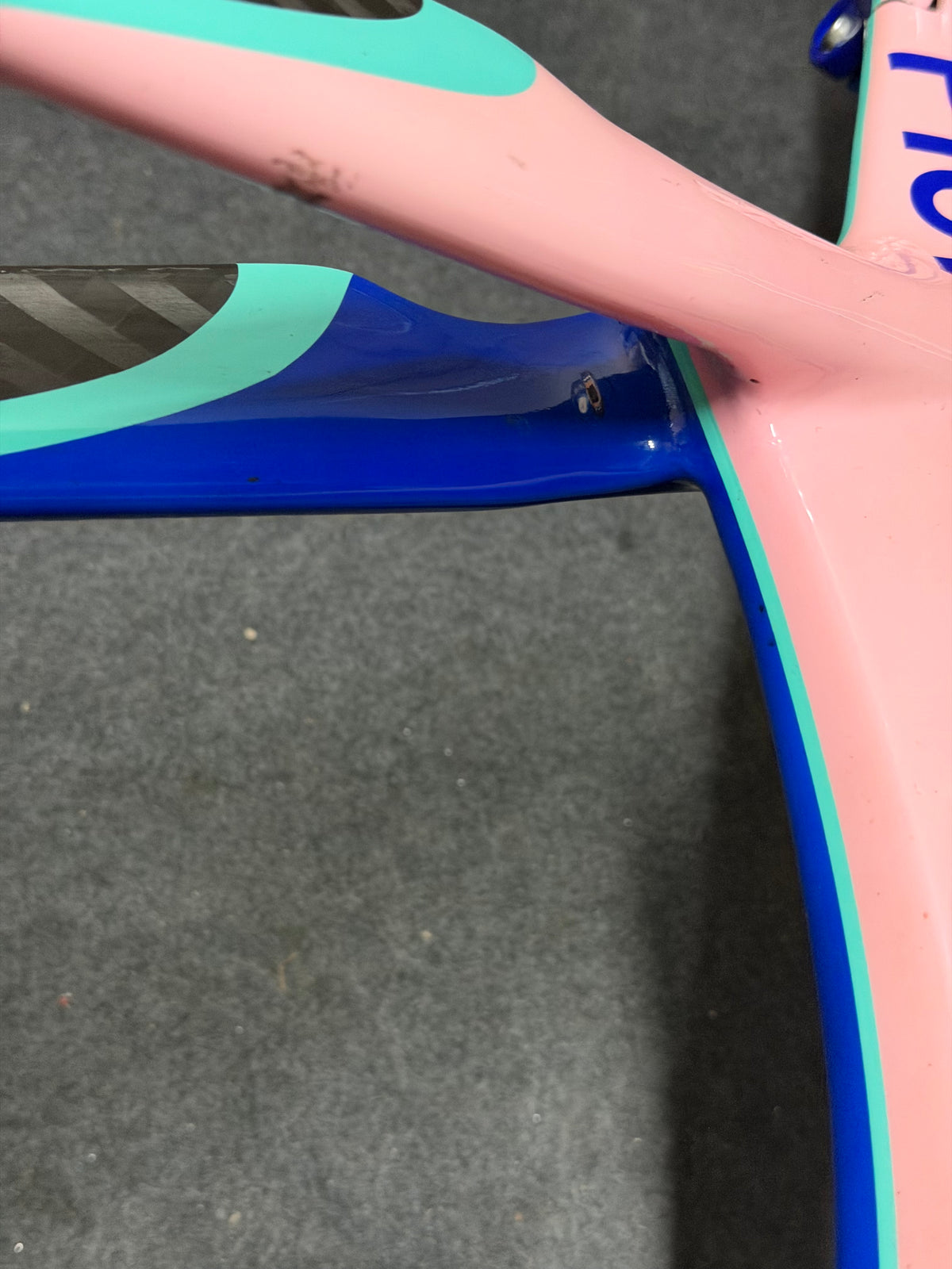 Pinnacle Carbon Track Frameset Evans Custom Size 57