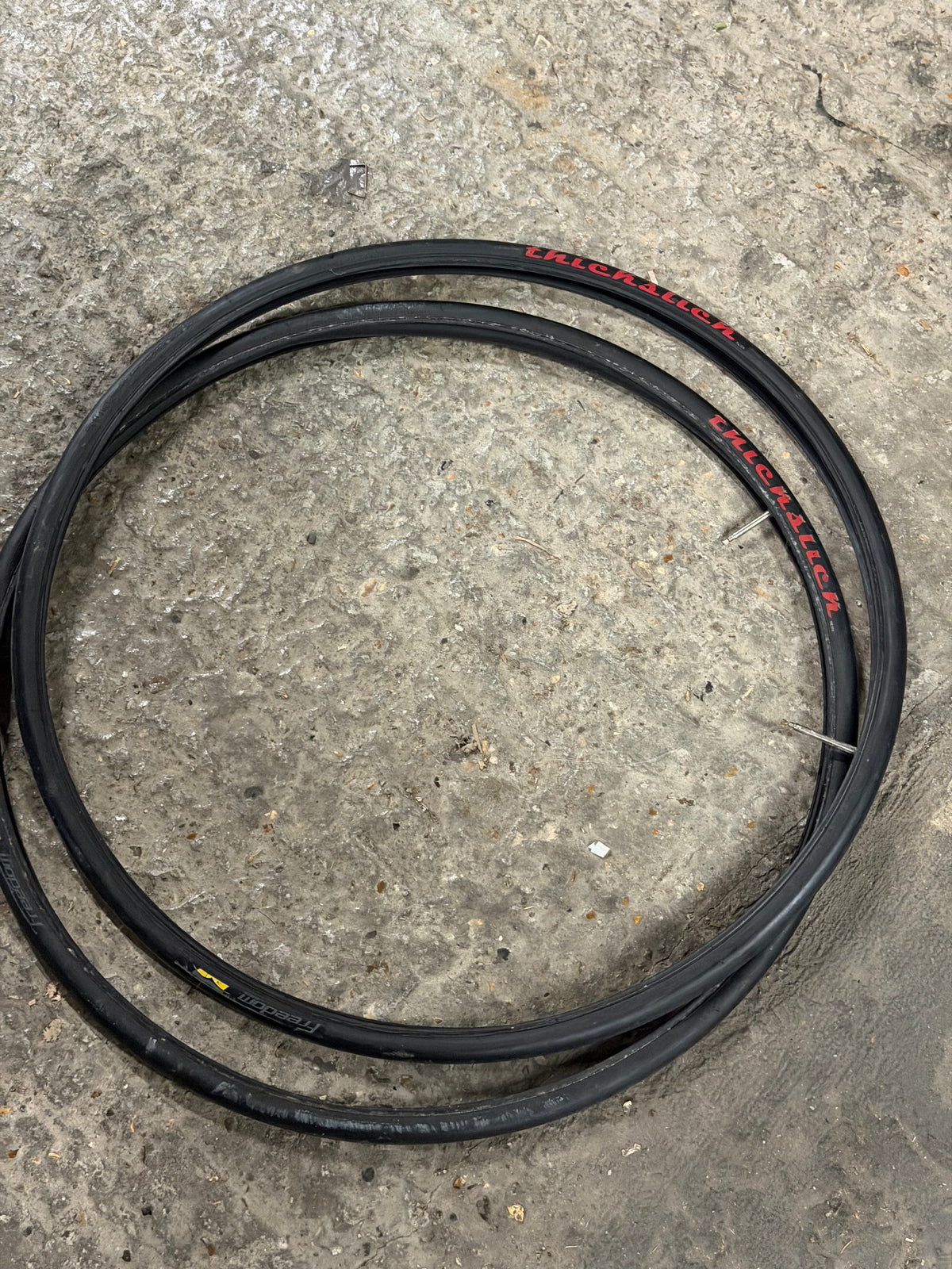 Thickslick tires 700c x 23c