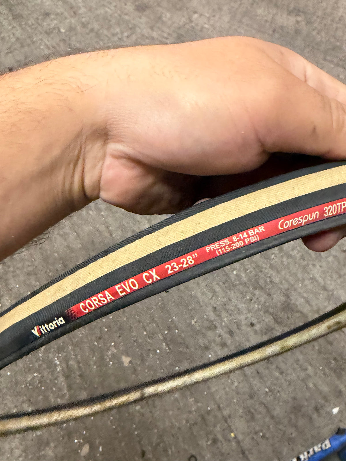Used Vittoria Corsa EVO CX 700x23c Tubular Tyre by Vittoria at Miclo Bikes - image 3