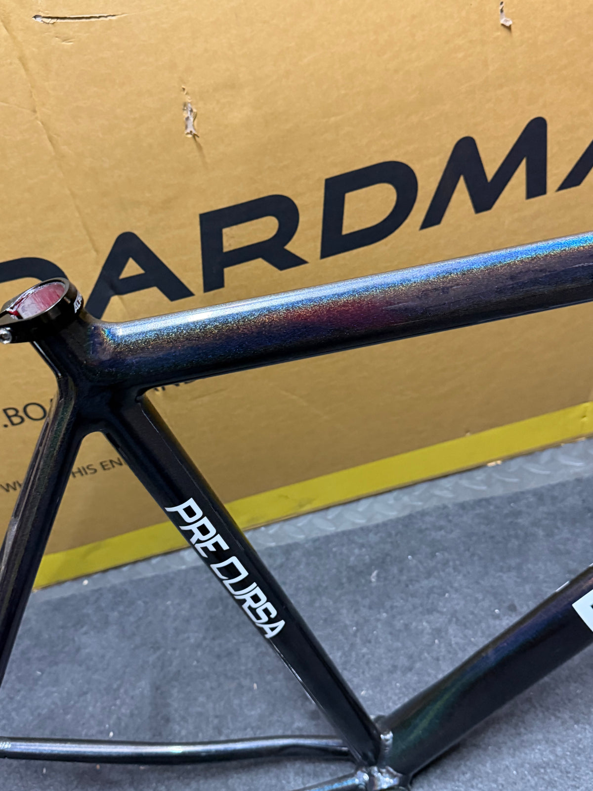 Dolan Pre Cursa 2025 Track Frameset Size 56cm