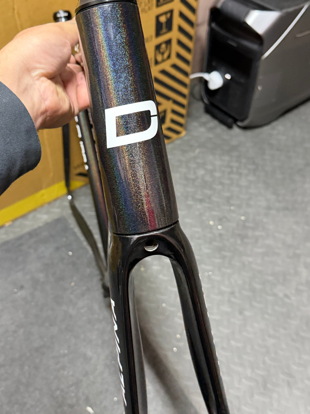 Dolan Pre Cursa 2025 Track Frameset Size 56cm
