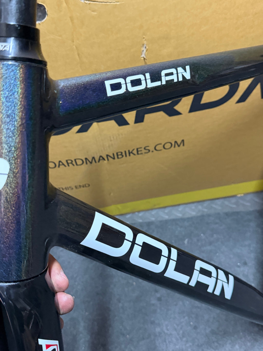 Dolan Pre Cursa 2025 Track Frameset Size 56cm