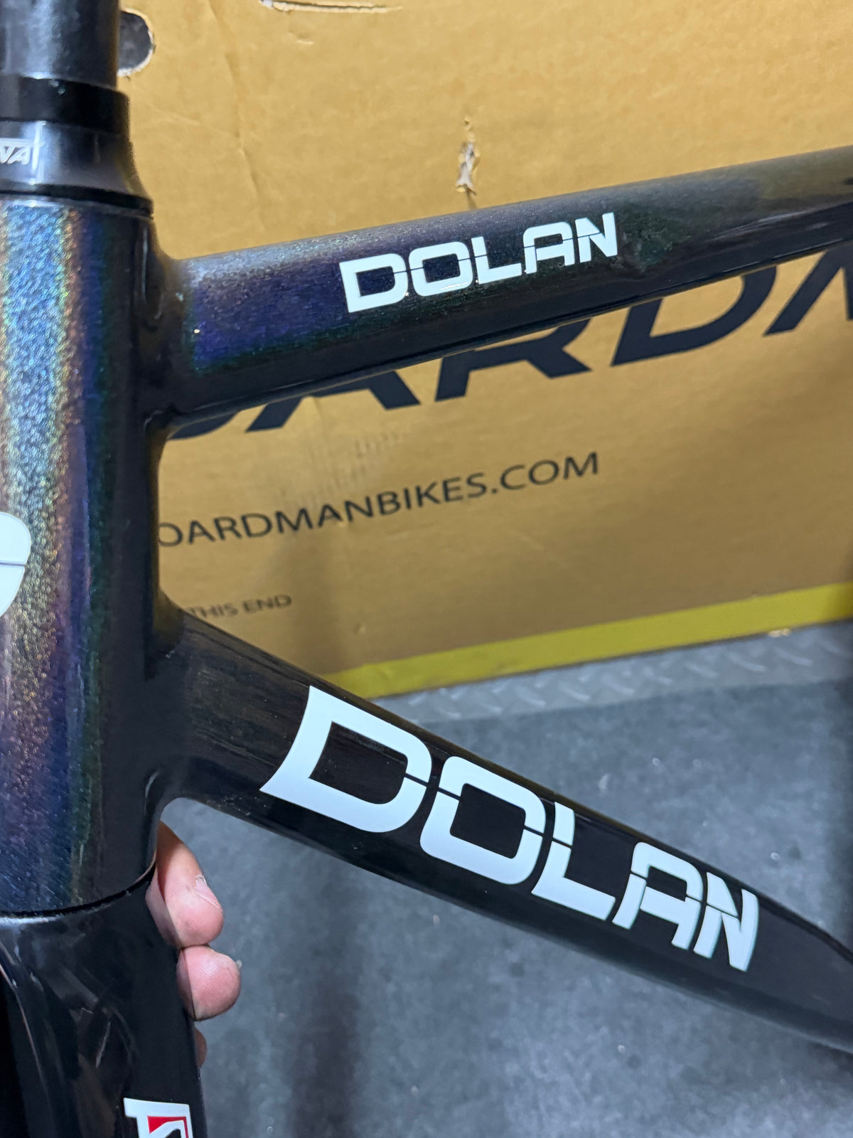 Dolan Pre Cursa 2025 Track Frameset Size 56cm