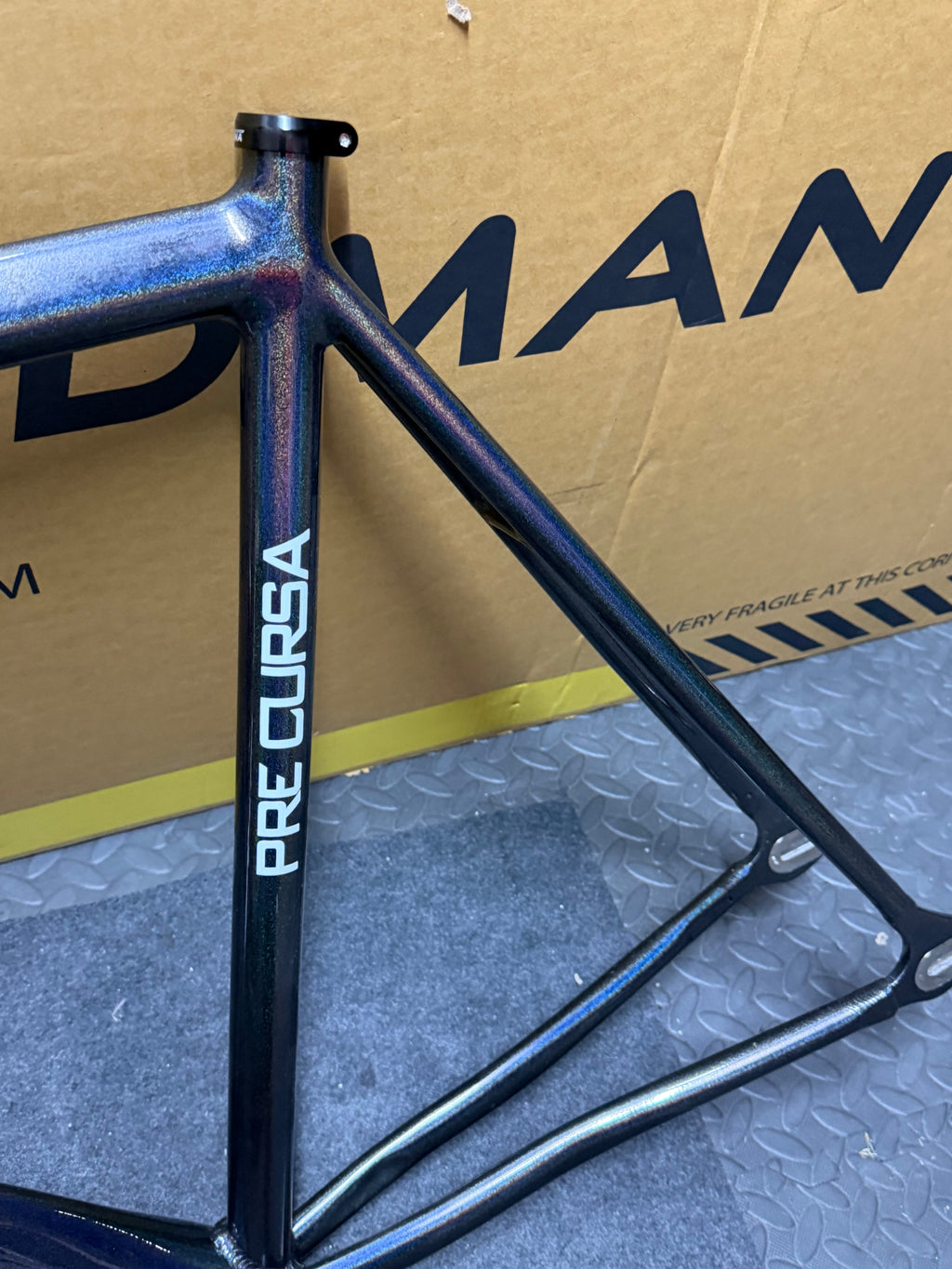 Dolan Pre Cursa 2025 Track Frameset Size 56cm