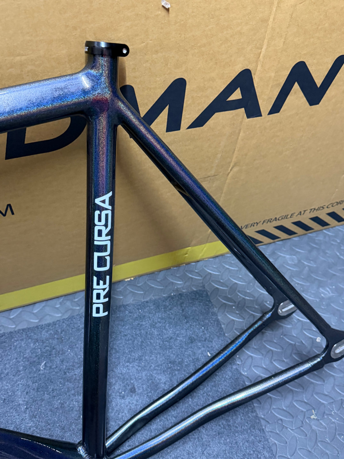 Dolan Pre Cursa 2025 Track Frameset Size 56cm