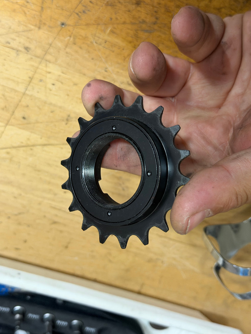 Halo Clickster Freewheel 18T 3/32" Single Speed