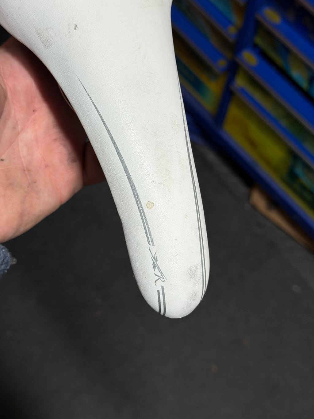 Selle Italia Women's Bicycle Saddle, White