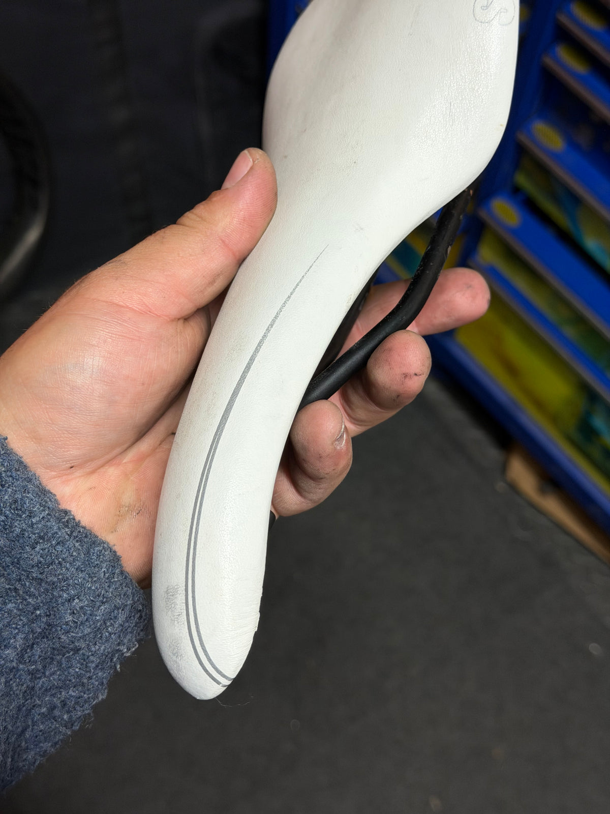 Selle Italia Women's Bicycle Saddle, White