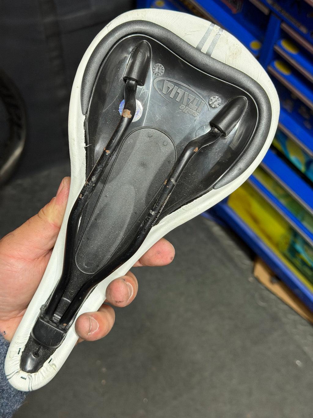 Selle Italia Women's Bicycle Saddle, White