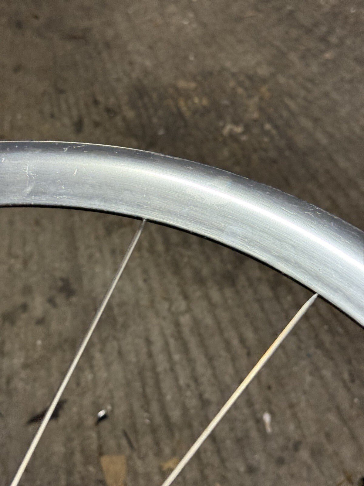 Rare Campagnolo Shamal Front Wheel 1st Gen Pista 650c Tubular
