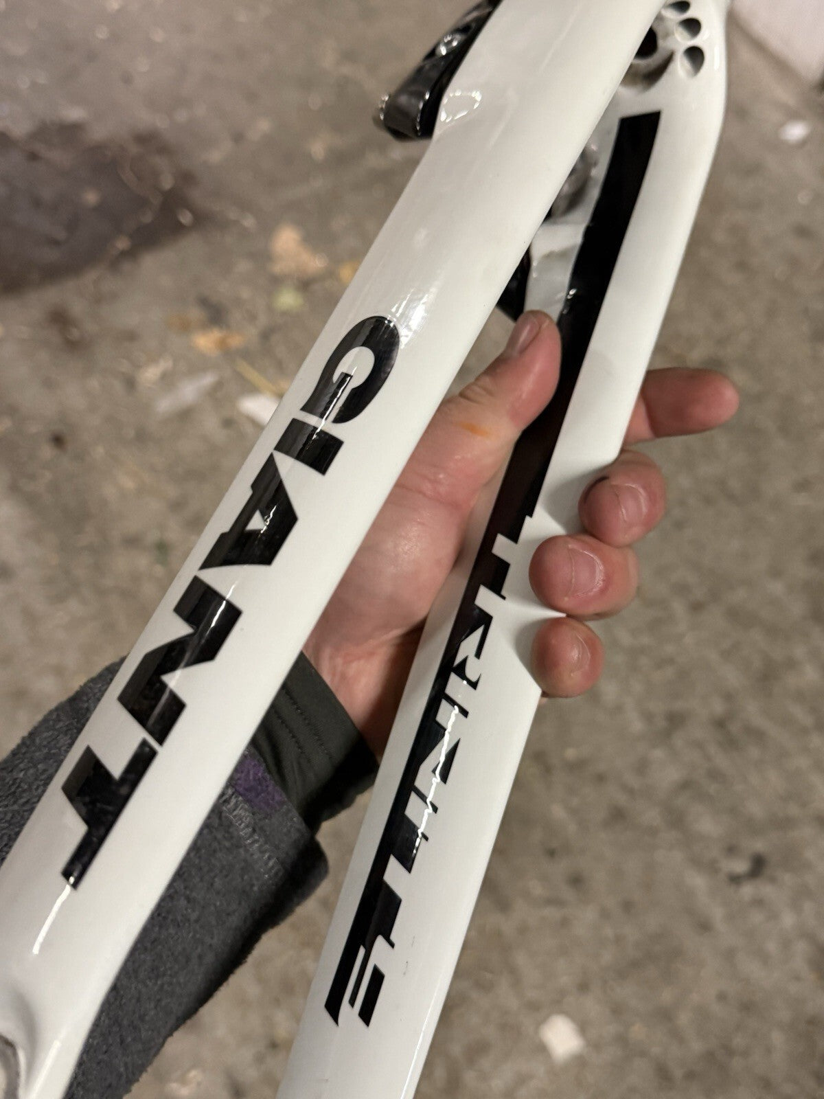 Giant Road Time Trial Carbon Forks With Caliper Tt Forks