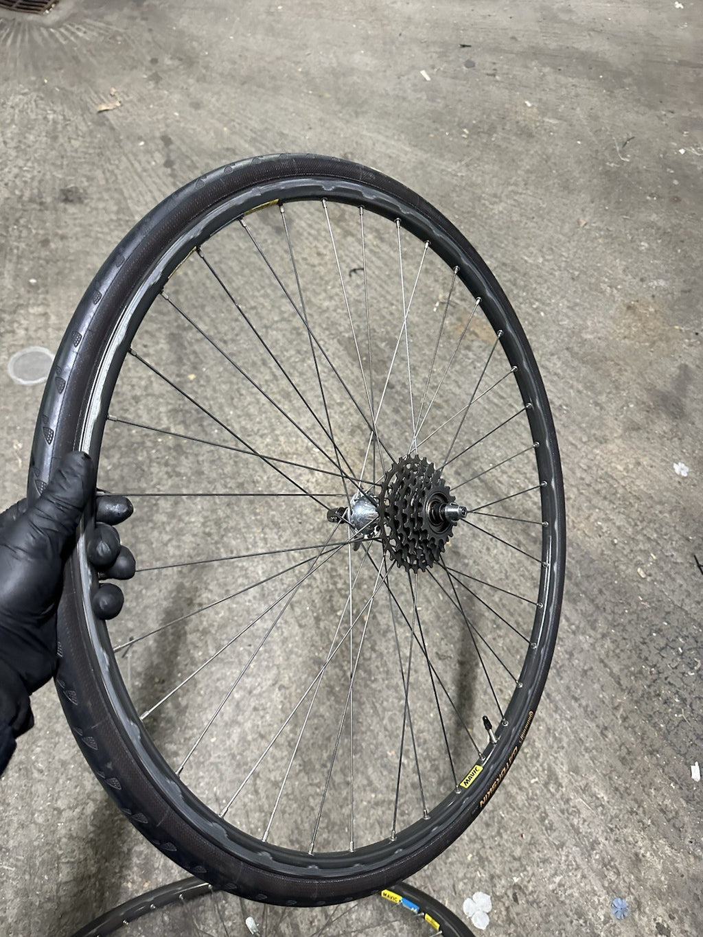 Vintage Camapgnolo Wheelser Regina Cassette Vintage Retro Wheelstubular - product photo 2 | Miclo Bikes