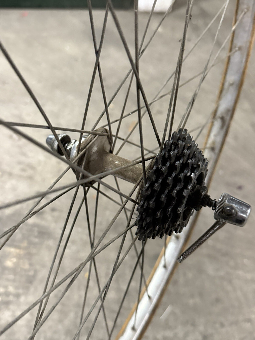 Vintage  Torpado Road Frameset Steel Needs Restoration