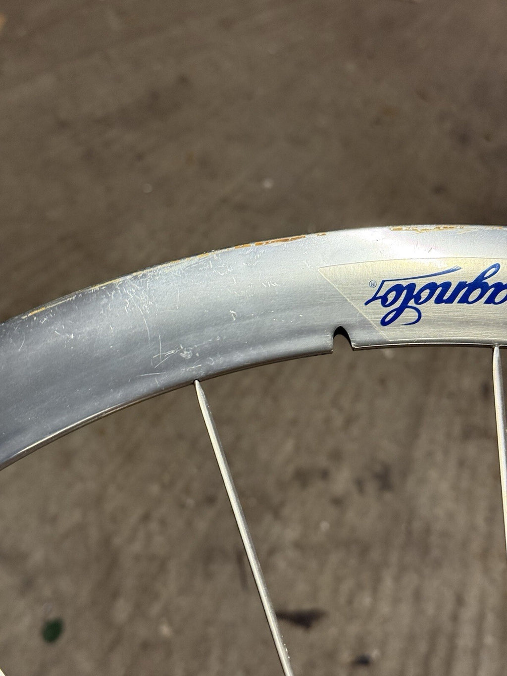 Rare Campagnolo Shamal Front Wheel 1st Gen Pista 650c Tubular