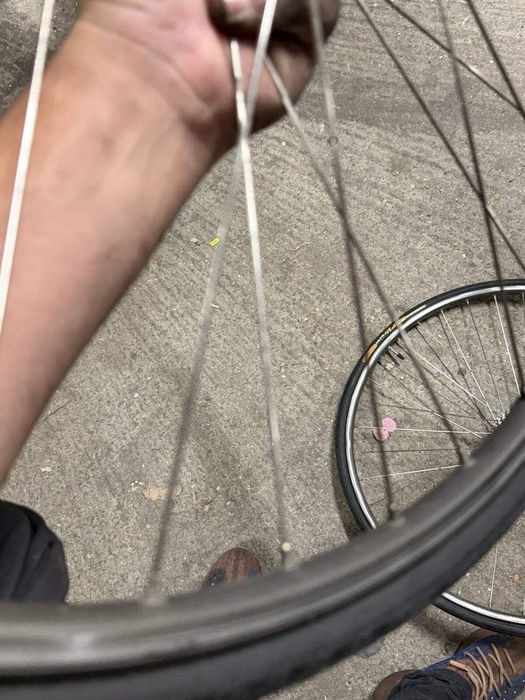 Shimano Sante Clincher Wheelset 7speed Cassette