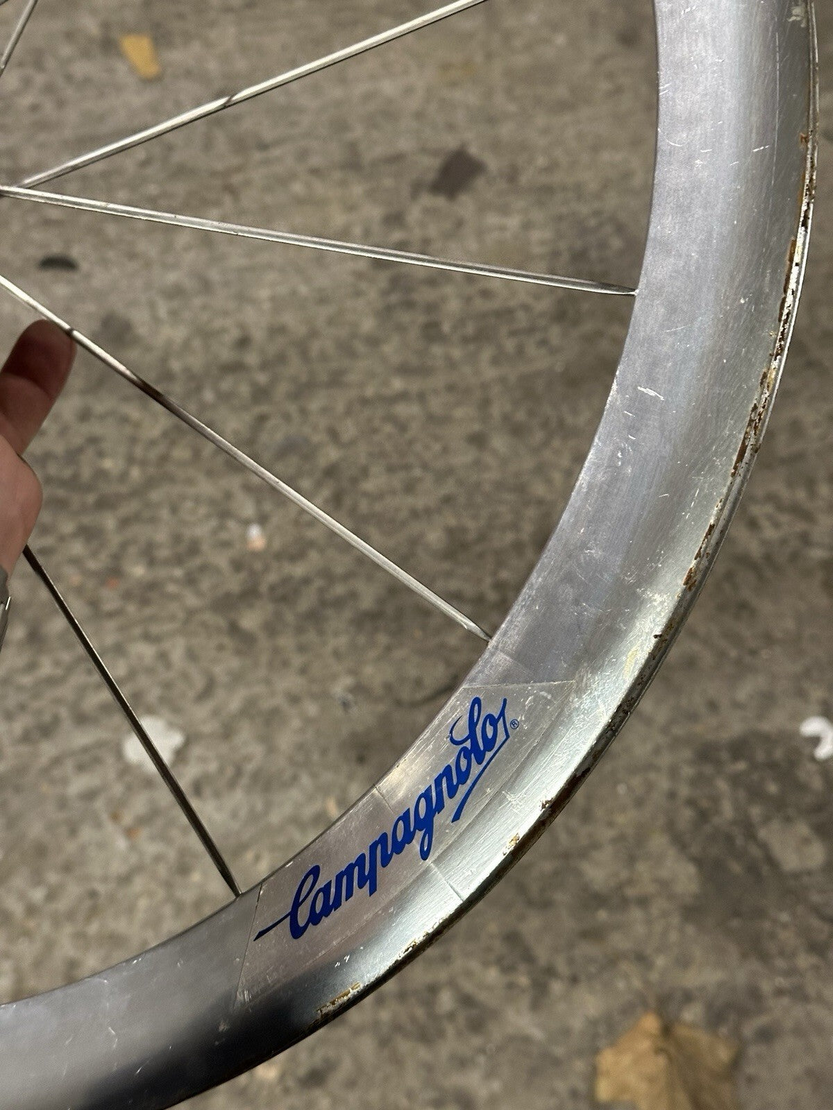 Campagnolo Shamal 1st Gen Front Wheel 650c – Vintage