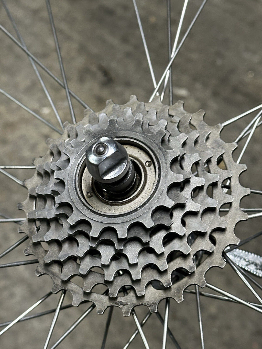Vintage Camapgnolo Wheelser Regina Cassette Vintage Retro Wheelstubular - product photo 4 | Miclo Bikes