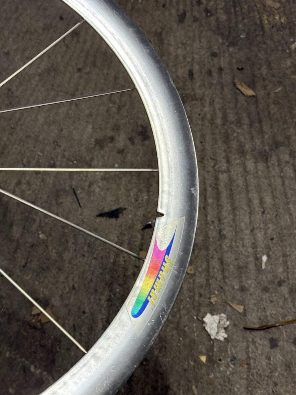 Rare Campagnolo Shamal Front Wheel 1st Gen Pista 650c Tubular