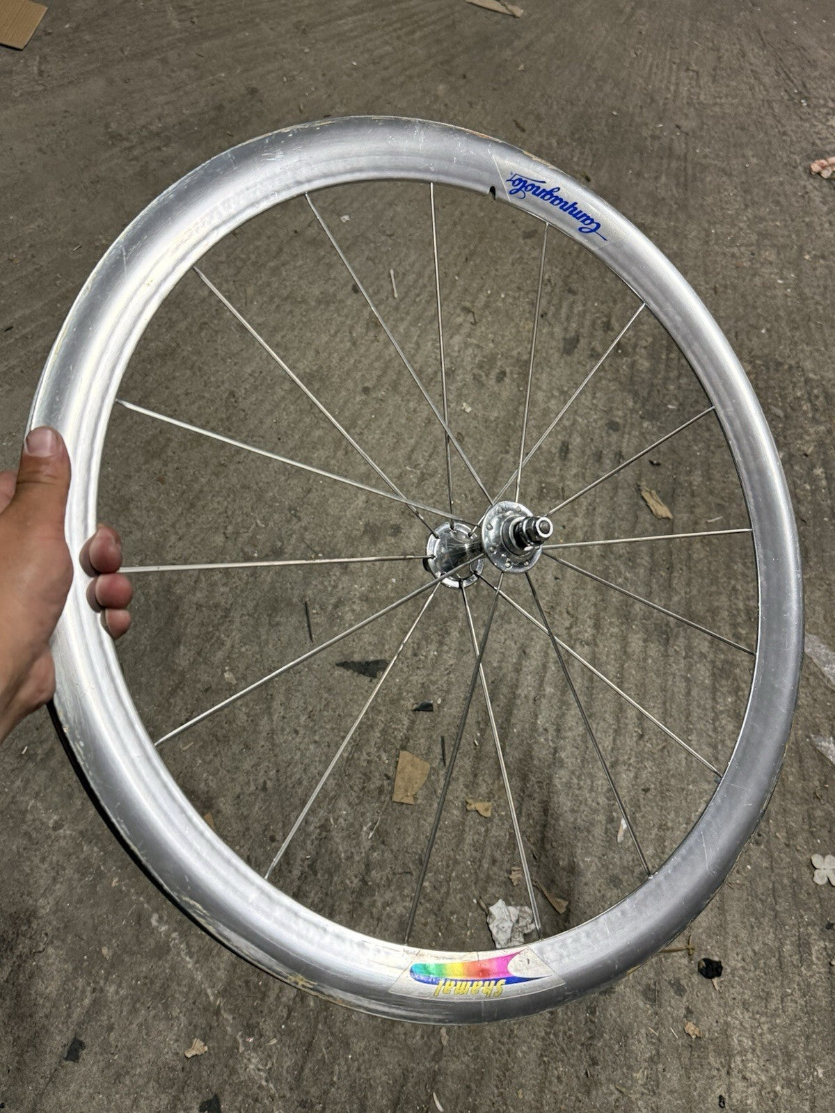Rare Campagnolo Shamal Front Wheel 1st Gen Pista 650c Tubular