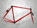Colnago Carbitubo Road Bike Frameset