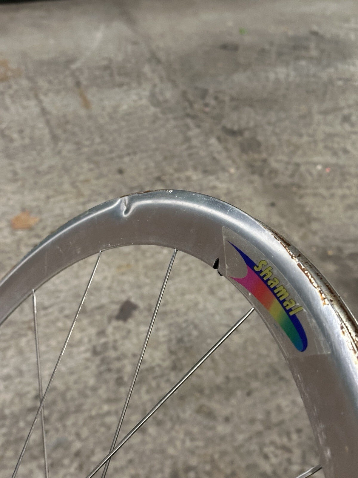 Campagnolo Shamal 1st Gen Front Wheel 650c – Vintage