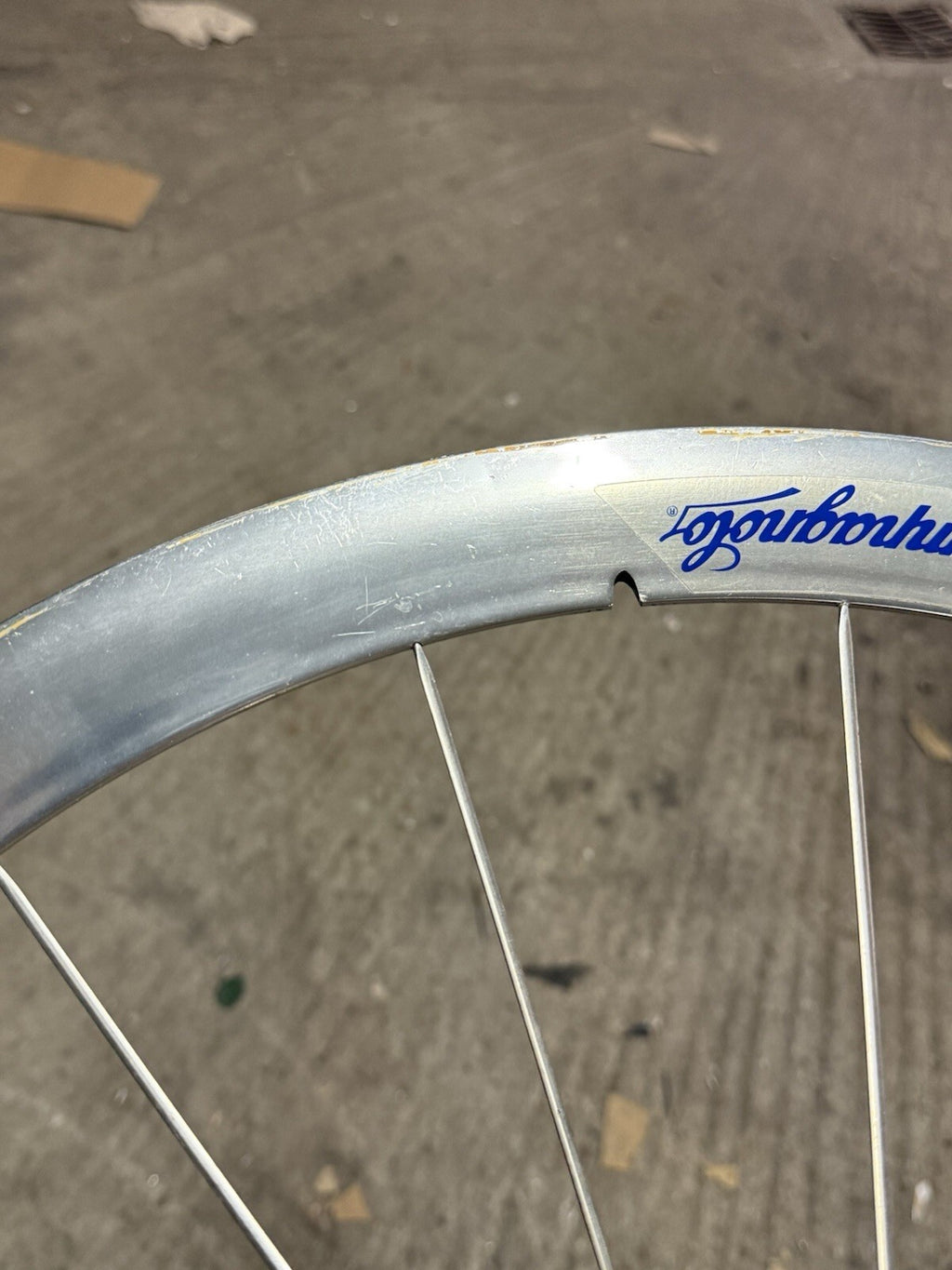 Rare Campagnolo Shamal Front Wheel 1st Gen Pista 650c Tubular