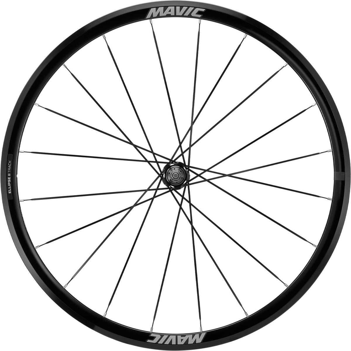Ellipse II Track Rim Brake Wheels Ellipse II Track Rim Brake Pair image 3