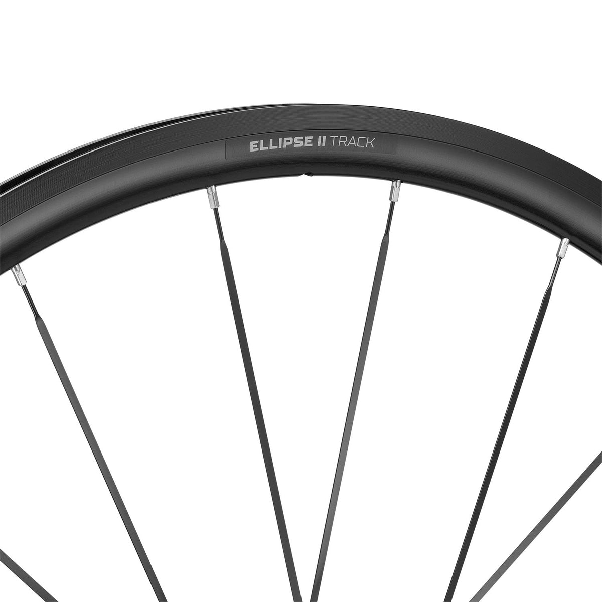Ellipse II Track Rim Brake Wheels Ellipse II Track Rim Brake Front image 2